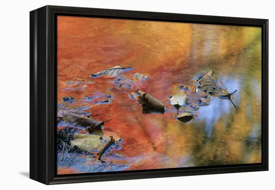 USA, New York, Adirondack Mountains. Autumn Reflections in Stream-Jaynes Gallery-Framed Premier Image Canvas