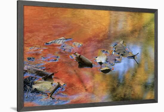 USA, New York, Adirondack Mountains. Autumn Reflections in Stream-Jaynes Gallery-Framed Photographic Print