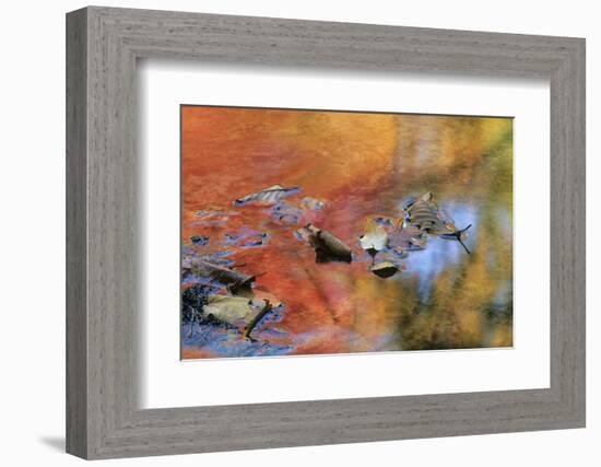 USA, New York, Adirondack Mountains. Autumn Reflections in Stream-Jaynes Gallery-Framed Photographic Print