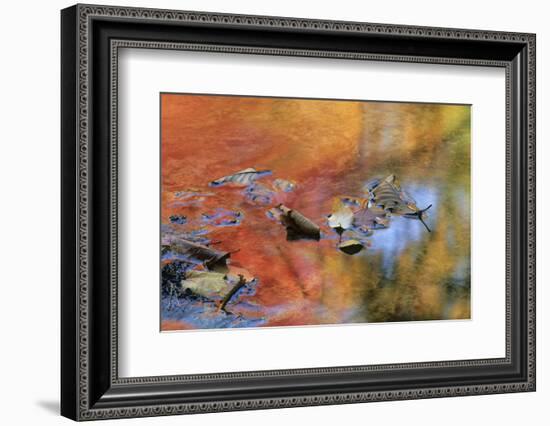 USA, New York, Adirondack Mountains. Autumn Reflections in Stream-Jaynes Gallery-Framed Photographic Print