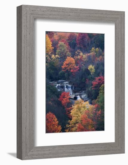 USA, New York, Adirondack Mountains. Autumn Trees and Waterfalls-Jaynes Gallery-Framed Photographic Print