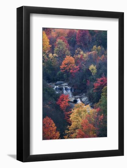 USA, New York, Adirondack Mountains. Autumn Trees and Waterfalls-Jaynes Gallery-Framed Photographic Print