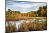 USA, New York, Adirondacks. Bolton Landing, forest preserve marsh near Lake George-Ann Collins-Mounted Photographic Print