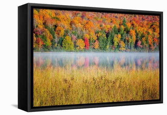 USA, New York, Adirondacks. Lake Placid, morning sun at Connery Pond-Ann Collins-Framed Premier Image Canvas