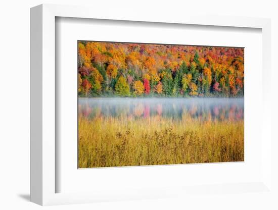 USA, New York, Adirondacks. Lake Placid, morning sun at Connery Pond-Ann Collins-Framed Photographic Print