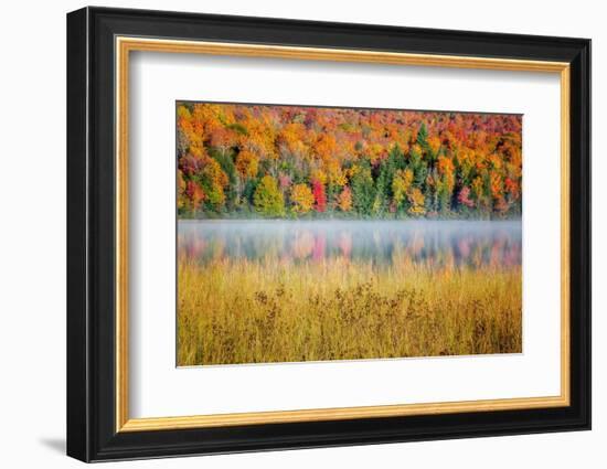 USA, New York, Adirondacks. Lake Placid, morning sun at Connery Pond-Ann Collins-Framed Photographic Print