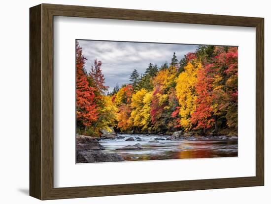 USA, New York, Adirondacks. Long Lake, autumn color along the Raquette River-Ann Collins-Framed Photographic Print