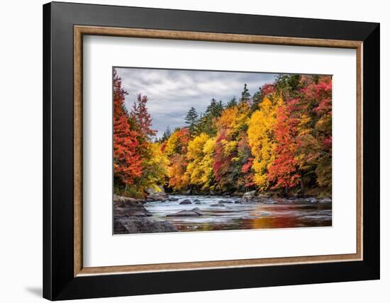 USA, New York, Adirondacks. Long Lake, autumn color along the Raquette River-Ann Collins-Framed Photographic Print