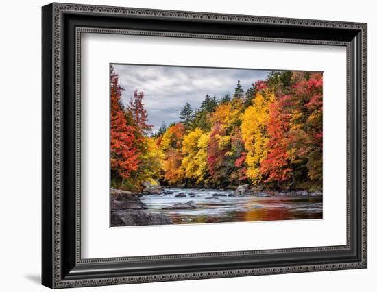 USA, New York, Adirondacks. Long Lake, autumn color along the Raquette River-Ann Collins-Framed Photographic Print