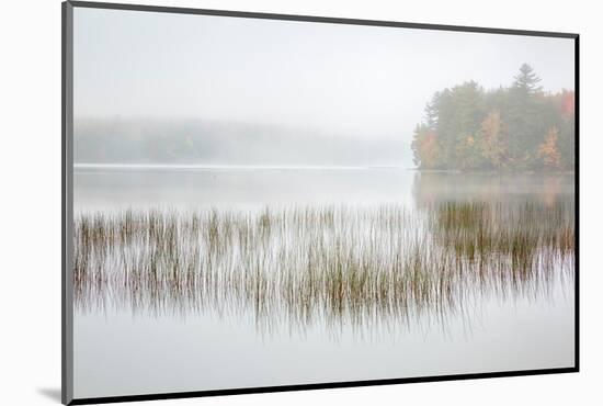 USA, New York, Adirondacks. Long Lake, foggy morning, reeds, and loon on Eaton Lake-Ann Collins-Mounted Photographic Print