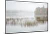 USA, New York, Adirondacks. Long Lake, foggy morning, reeds, and loon on Eaton Lake-Ann Collins-Mounted Photographic Print
