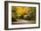 USA, New York, Adirondacks. Long Lake, foliage-covered road to Forked Lake-Ann Collins-Framed Photographic Print