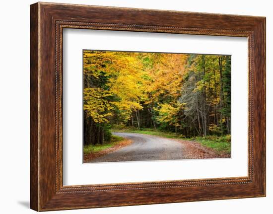 USA, New York, Adirondacks. Long Lake, foliage-covered road to Forked Lake-Ann Collins-Framed Photographic Print