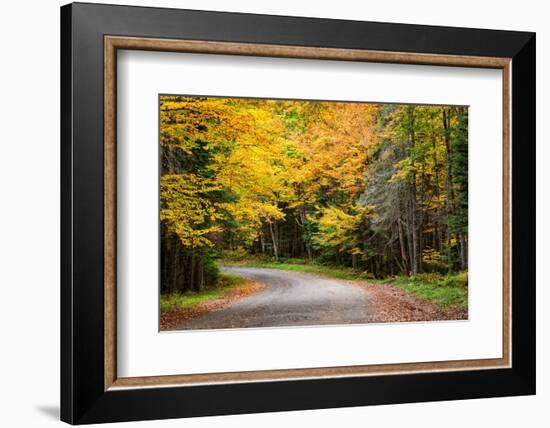 USA, New York, Adirondacks. Long Lake, foliage-covered road to Forked Lake-Ann Collins-Framed Photographic Print