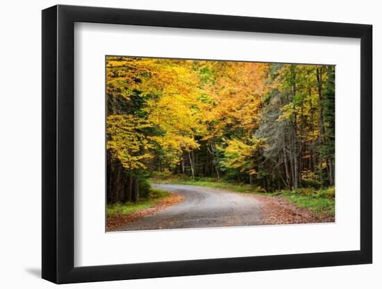 USA, New York, Adirondacks. Long Lake, foliage-covered road to Forked Lake-Ann Collins-Framed Photographic Print