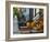 USA, New York, Brooklyn, Brooklyn Heights, Halloween Pumpkins-Alan Copson-Framed Photographic Print