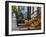 USA, New York, Brooklyn, Brooklyn Heights, Halloween Pumpkins-Alan Copson-Framed Photographic Print