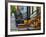 USA, New York, Brooklyn, Brooklyn Heights, Halloween Pumpkins-Alan Copson-Framed Photographic Print