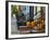 USA, New York, Brooklyn, Brooklyn Heights, Halloween Pumpkins-Alan Copson-Framed Photographic Print