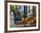 USA, New York, Brooklyn, Brooklyn Heights, Halloween Pumpkins-Alan Copson-Framed Photographic Print