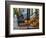 USA, New York, Brooklyn, Brooklyn Heights, Halloween Pumpkins-Alan Copson-Framed Photographic Print