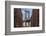 Usa, New York, Brooklyn, Dumbo, Manhattan Bridge and Empire State Building-Michele Falzone-Framed Photographic Print