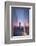 USA, New York City, Lower Manhattan and Freedom Tower from 9-11 Memorial-Walter Bibikow-Framed Photographic Print