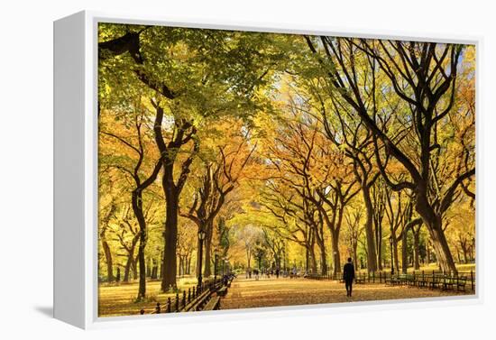 Usa, New York City, Manhattan, Central Park, the Mall-Michele Falzone-Framed Premier Image Canvas