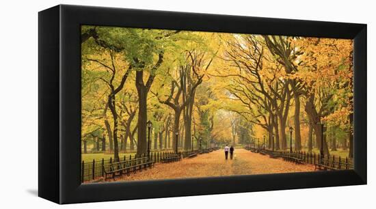 Usa, New York City, Manhattan, Central Park, the Mall-Michele Falzone-Framed Premier Image Canvas