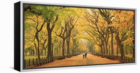 Usa, New York City, Manhattan, Central Park, the Mall-Michele Falzone-Framed Premier Image Canvas