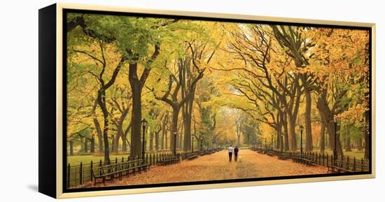 Usa, New York City, Manhattan, Central Park, the Mall-Michele Falzone-Framed Premier Image Canvas