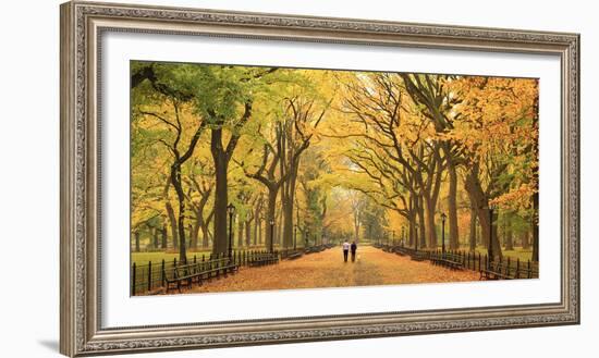 Usa, New York City, Manhattan, Central Park, the Mall-Michele Falzone-Framed Photographic Print