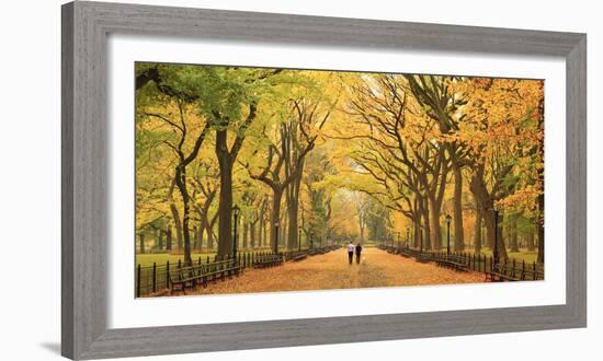 Usa, New York City, Manhattan, Central Park, the Mall-Michele Falzone-Framed Photographic Print