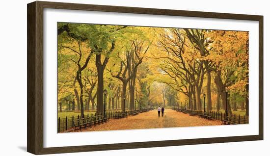 Usa, New York City, Manhattan, Central Park, the Mall-Michele Falzone-Framed Photographic Print