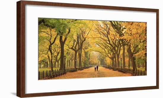 Usa, New York City, Manhattan, Central Park, the Mall-Michele Falzone-Framed Photographic Print