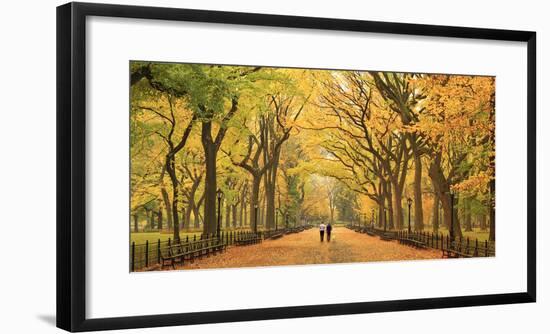 Usa, New York City, Manhattan, Central Park, the Mall-Michele Falzone-Framed Photographic Print