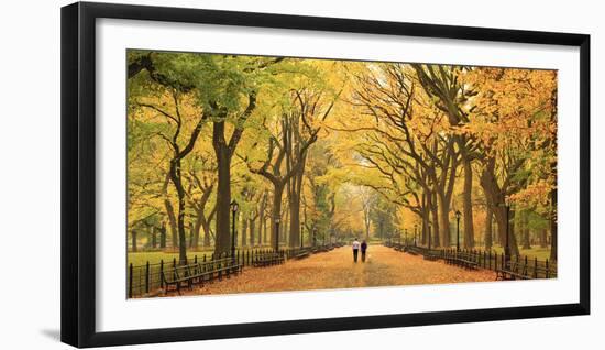 Usa, New York City, Manhattan, Central Park, the Mall-Michele Falzone-Framed Photographic Print