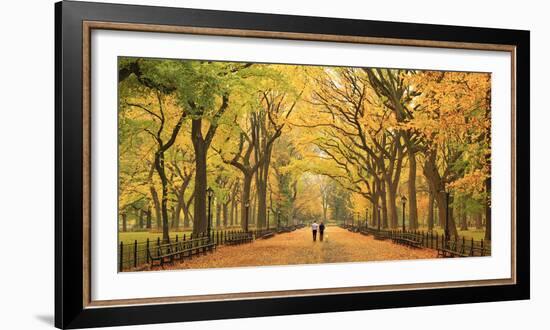 Usa, New York City, Manhattan, Central Park, the Mall-Michele Falzone-Framed Photographic Print