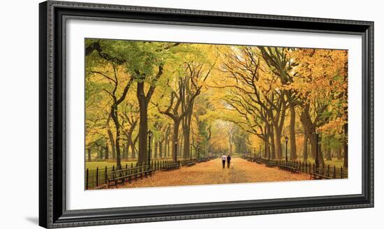 Usa, New York City, Manhattan, Central Park, the Mall-Michele Falzone-Framed Photographic Print