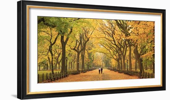 Usa, New York City, Manhattan, Central Park, the Mall-Michele Falzone-Framed Photographic Print