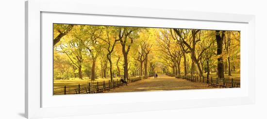 Usa, New York City, Manhattan, Central Park, the Mall-Michele Falzone-Framed Photographic Print