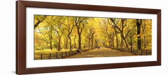 Usa, New York City, Manhattan, Central Park, the Mall-Michele Falzone-Framed Photographic Print