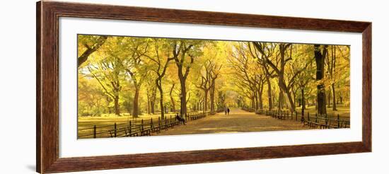 Usa, New York City, Manhattan, Central Park, the Mall-Michele Falzone-Framed Photographic Print