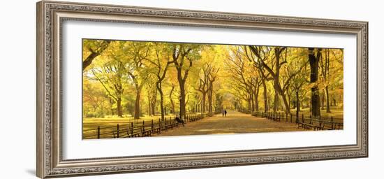 Usa, New York City, Manhattan, Central Park, the Mall-Michele Falzone-Framed Photographic Print