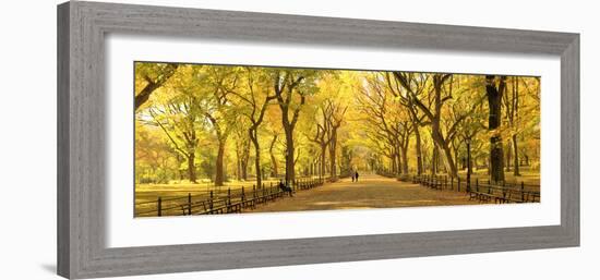 Usa, New York City, Manhattan, Central Park, the Mall-Michele Falzone-Framed Photographic Print