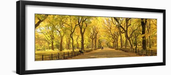 Usa, New York City, Manhattan, Central Park, the Mall-Michele Falzone-Framed Photographic Print