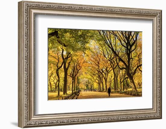 Usa, New York City, Manhattan, Central Park, the Mall-Michele Falzone-Framed Photographic Print