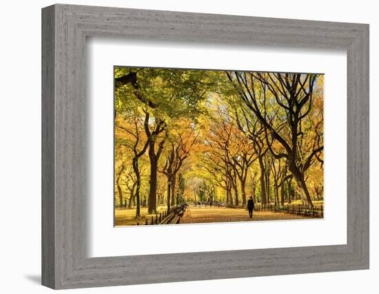 Usa, New York City, Manhattan, Central Park, the Mall-Michele Falzone-Framed Photographic Print