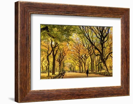 Usa, New York City, Manhattan, Central Park, the Mall-Michele Falzone-Framed Photographic Print