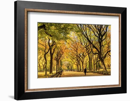 Usa, New York City, Manhattan, Central Park, the Mall-Michele Falzone-Framed Photographic Print